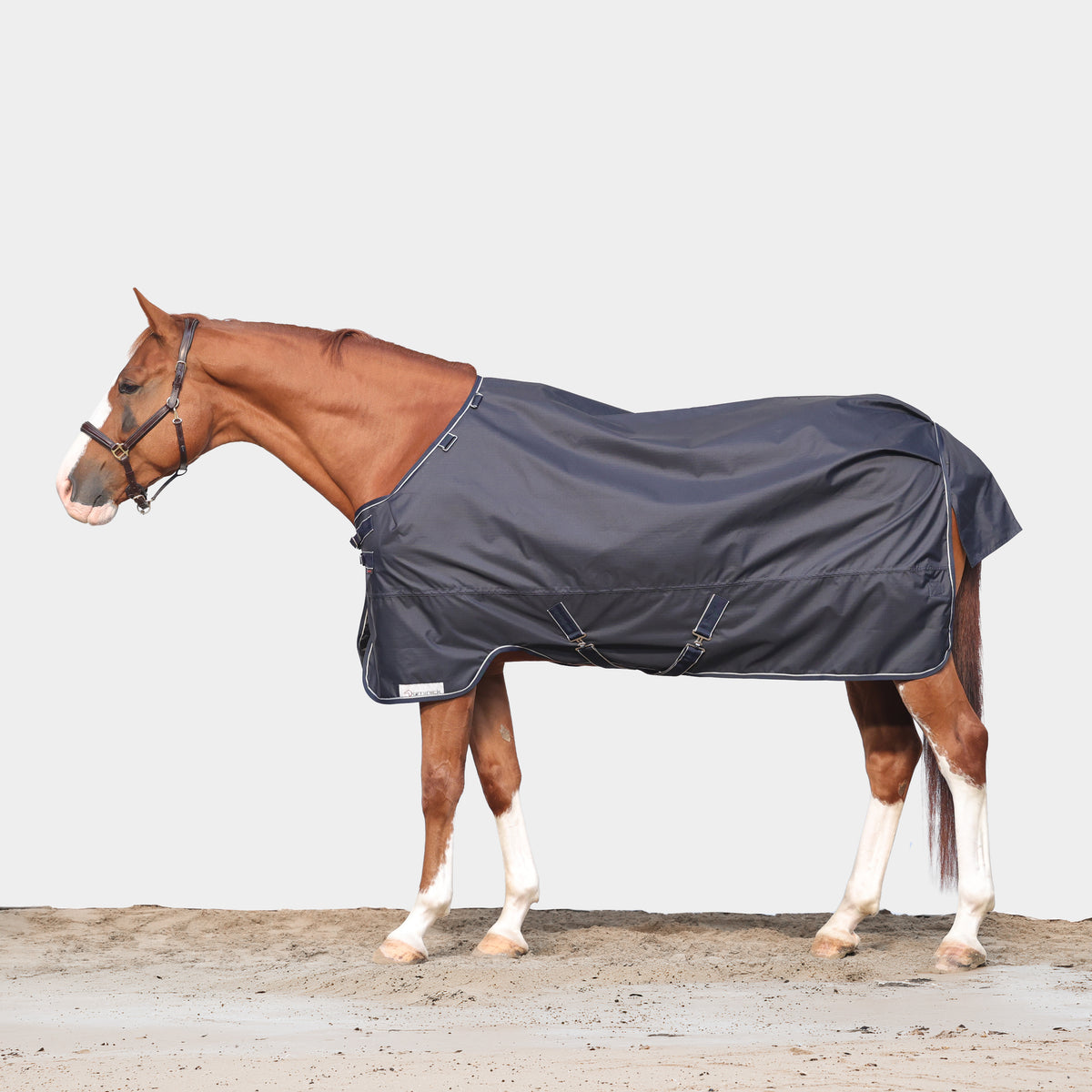 Dominick Silky Outdoor Turnout Rug 0g