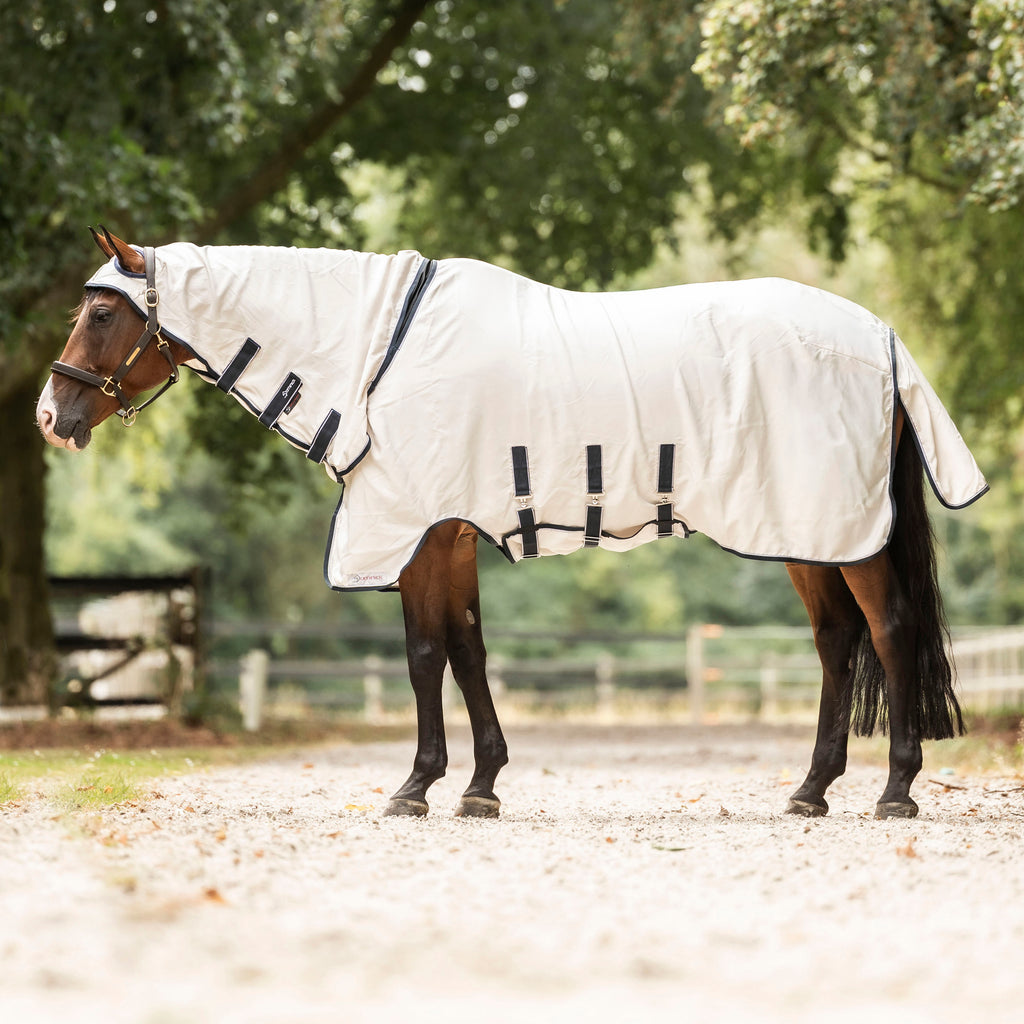 Dominick Sweet Itch Rug Elastic