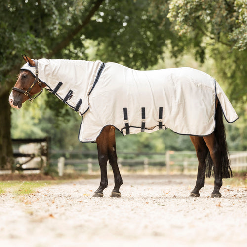 Dominick Sweet Itch Rug Elastic