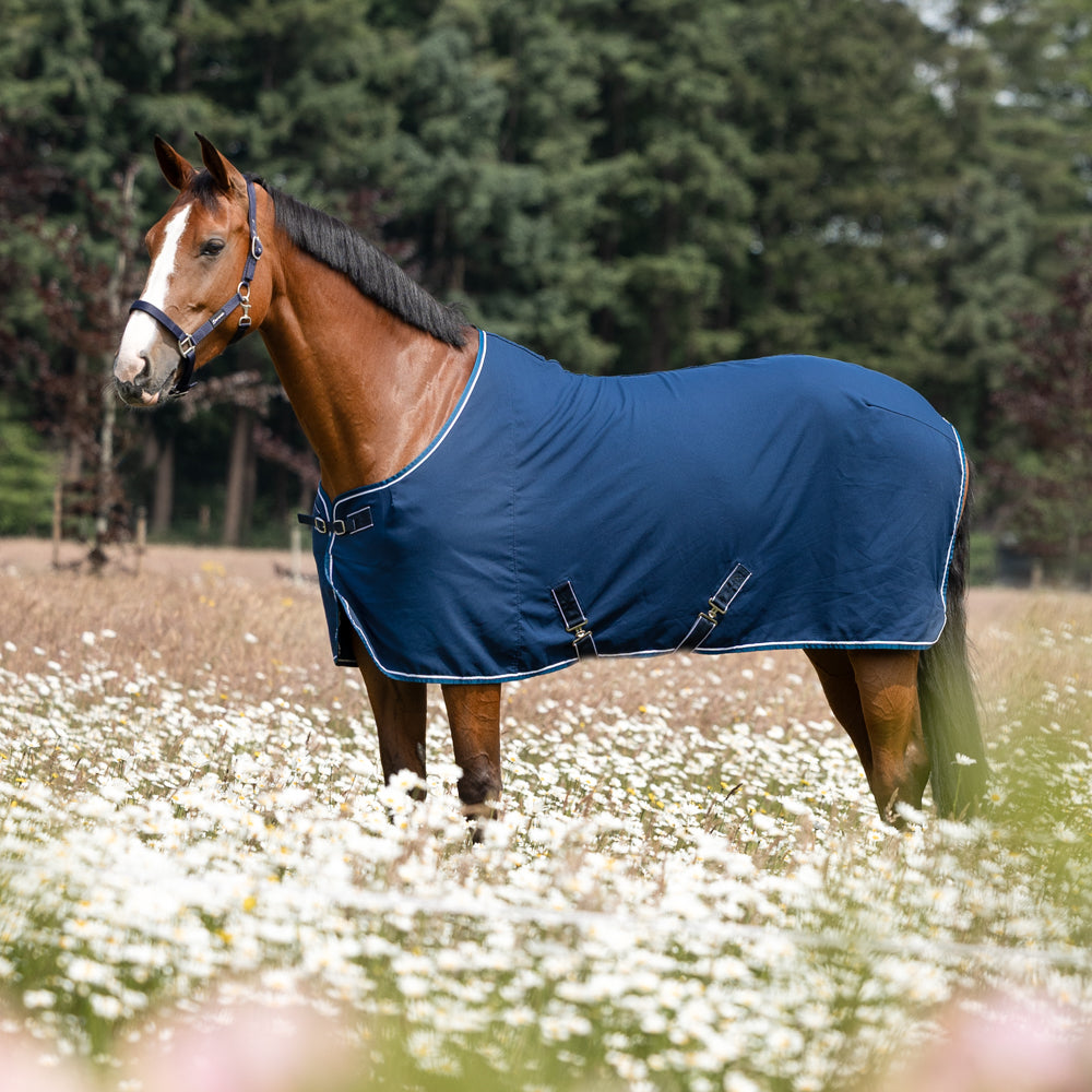 Dominick Cooler Summer Rug Lite