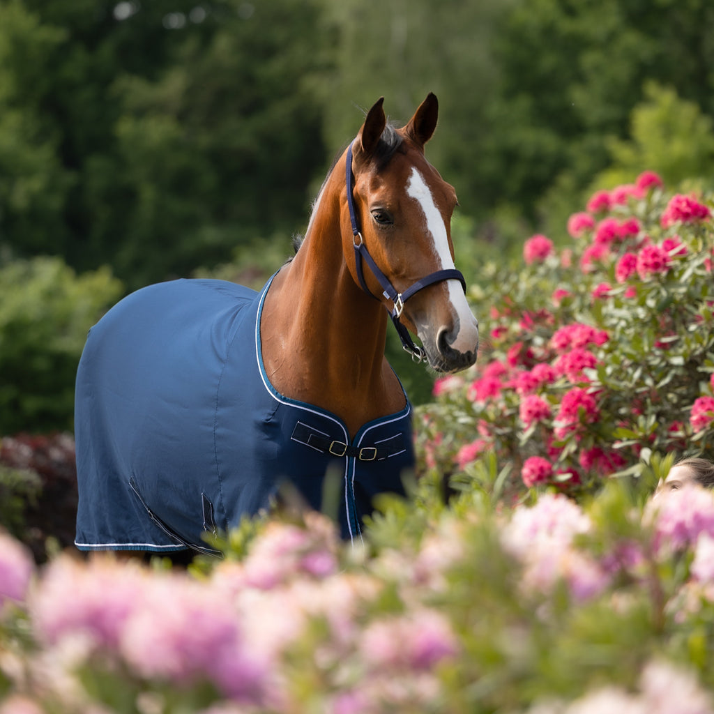 Dominick Cooler Summer Rug Lite