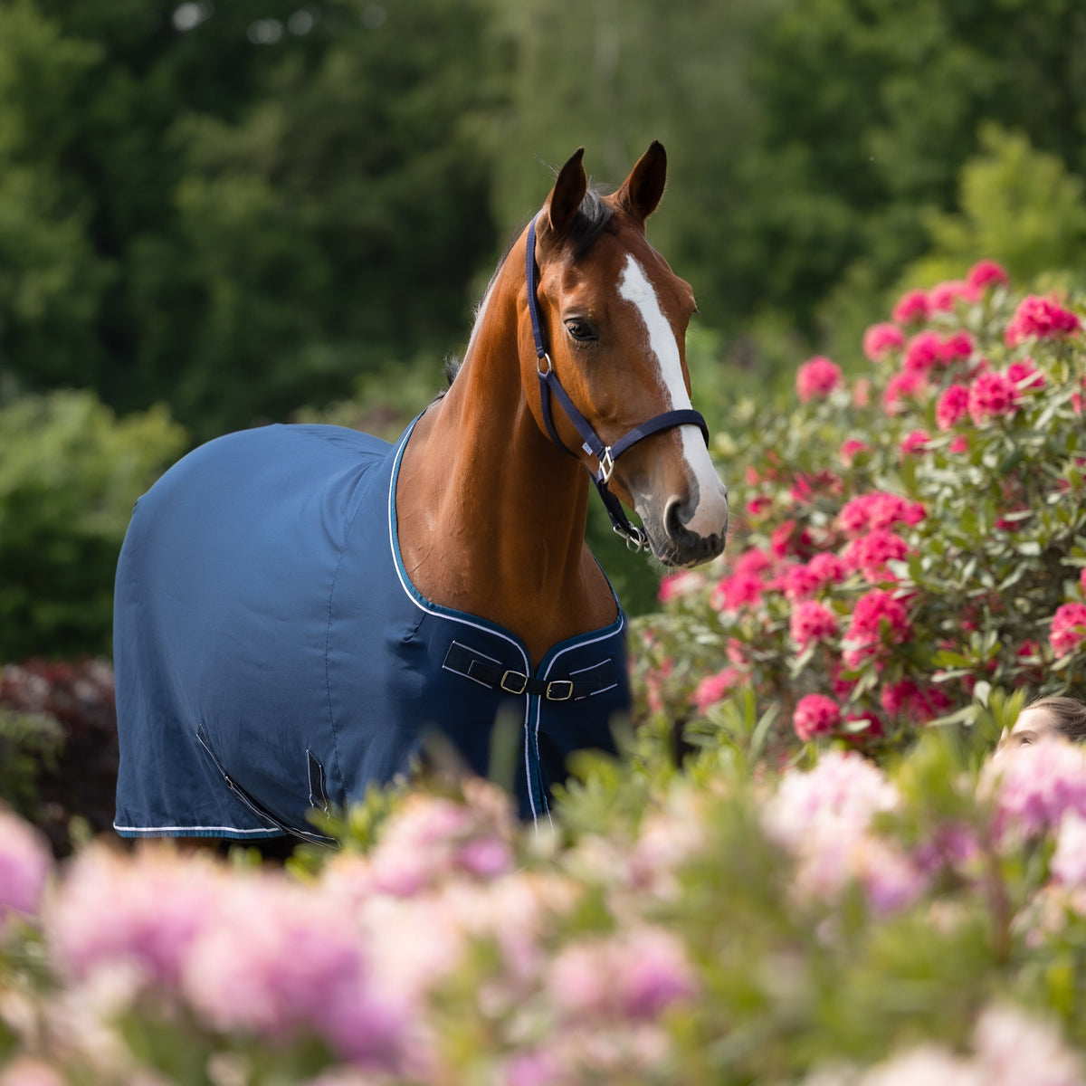 Dominick Cooler Summer Rug Lite