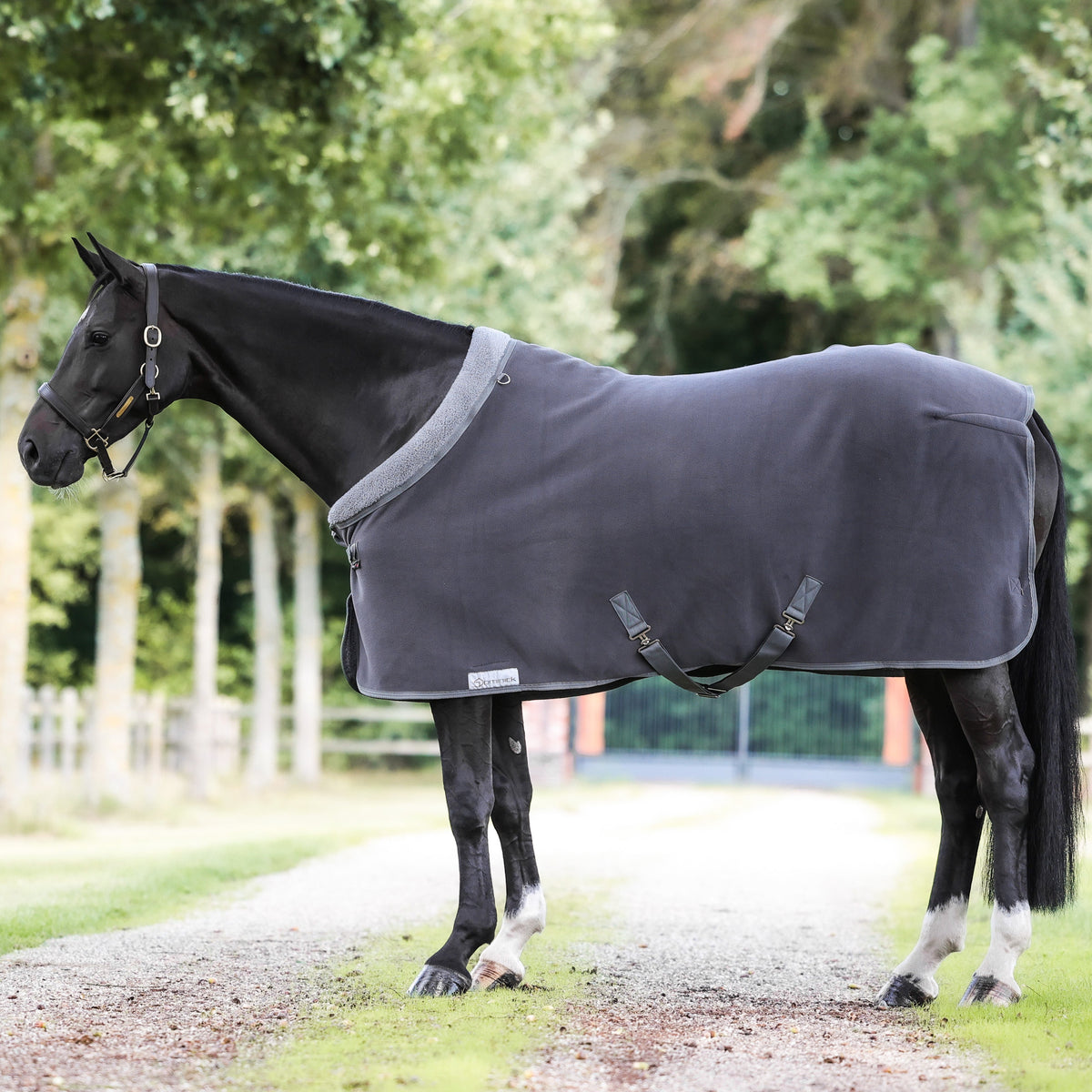 Dominick Cosy Fleece Rug Anthracite