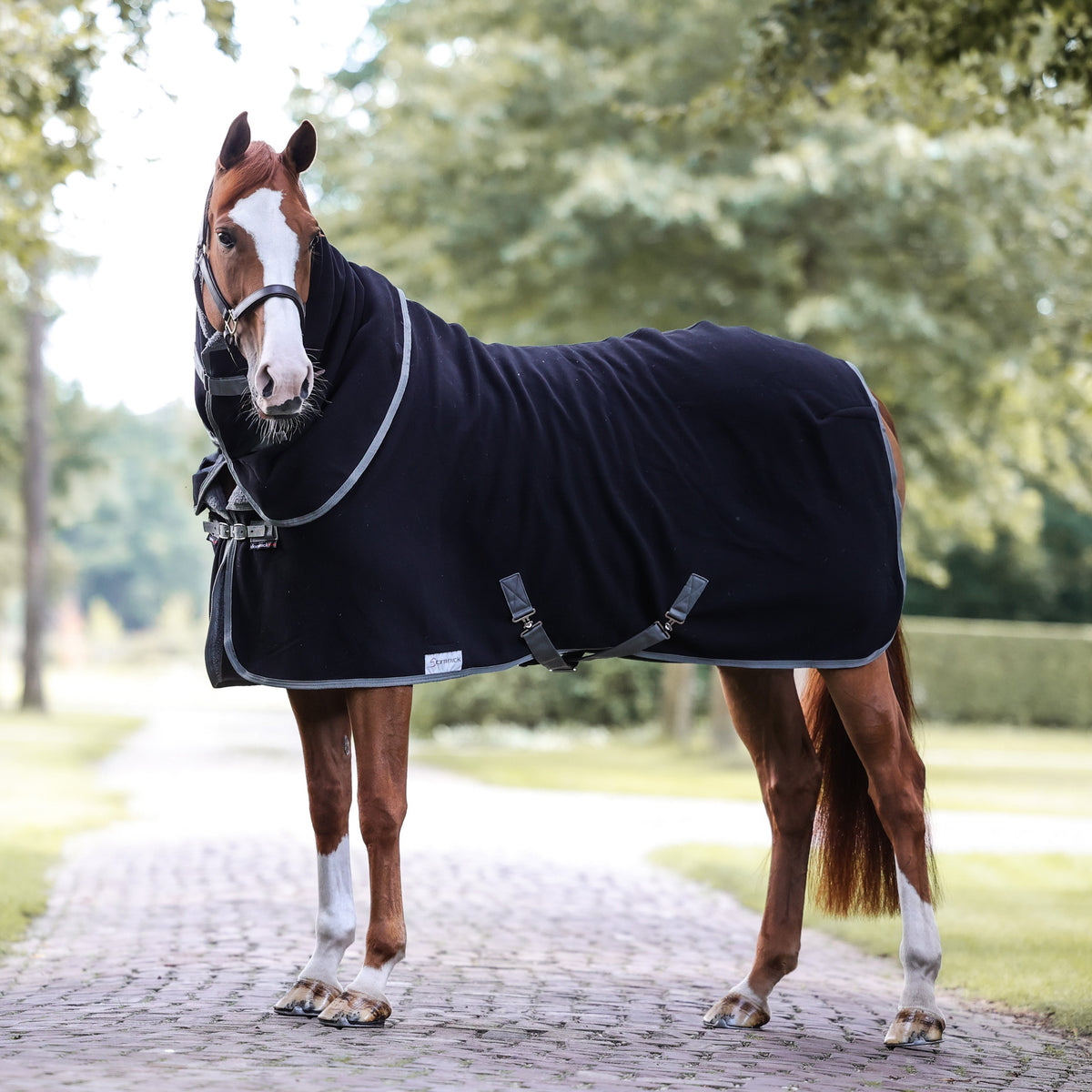 Dominick Cosy Fleece Rug Black