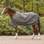 Dominick Silky Outdoor Turnout Rug 0g