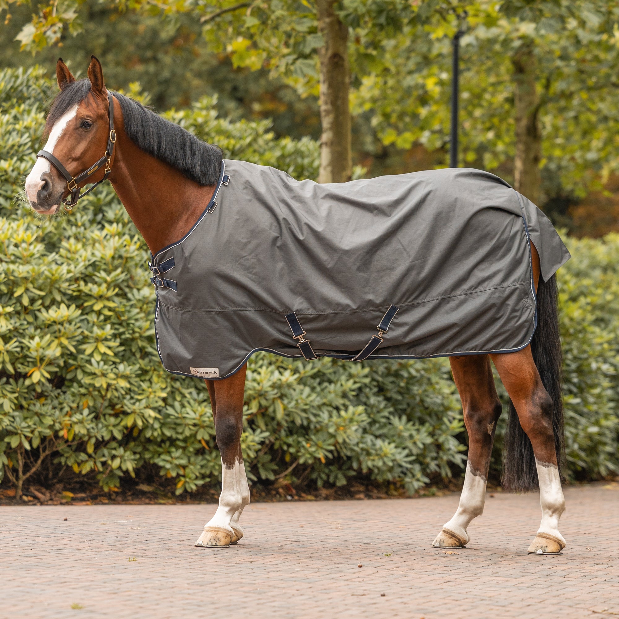 Dominick Silky Outdoor Turnout Rug 0g