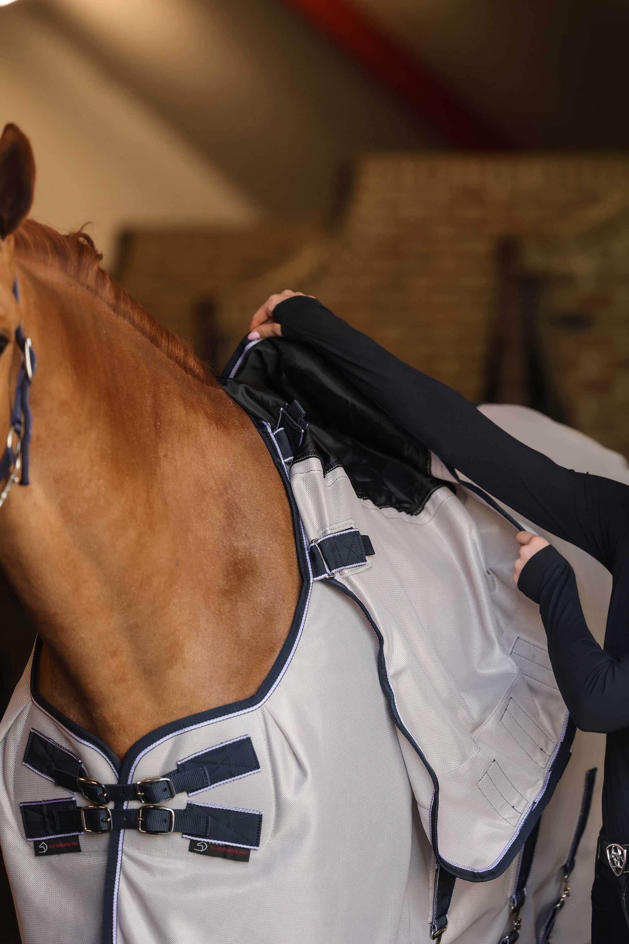 Dominick Fly Rug Fly Defender Pro