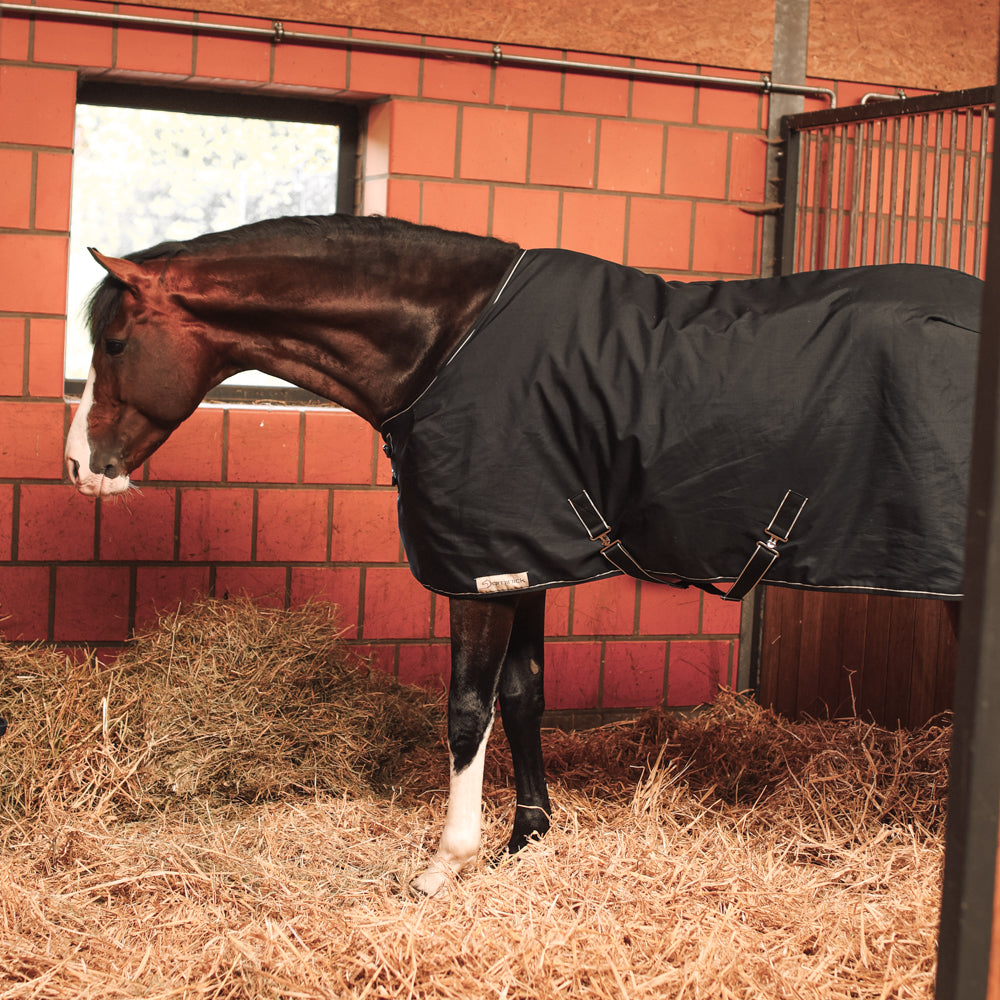 Dominick Stable Rug Medium 200g