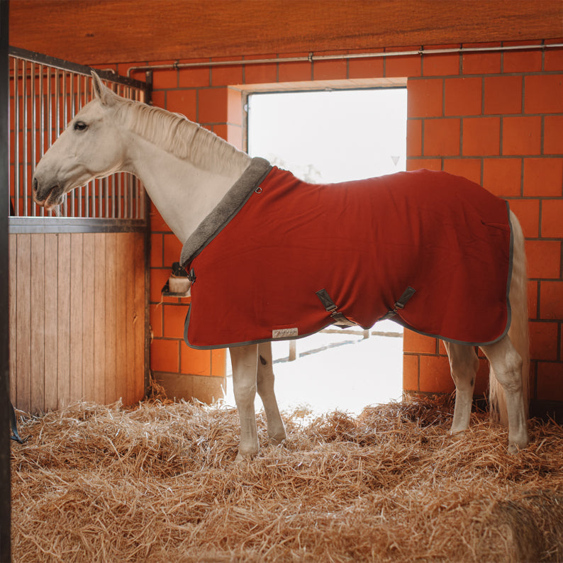 Dominick Cosy Fleece Rug