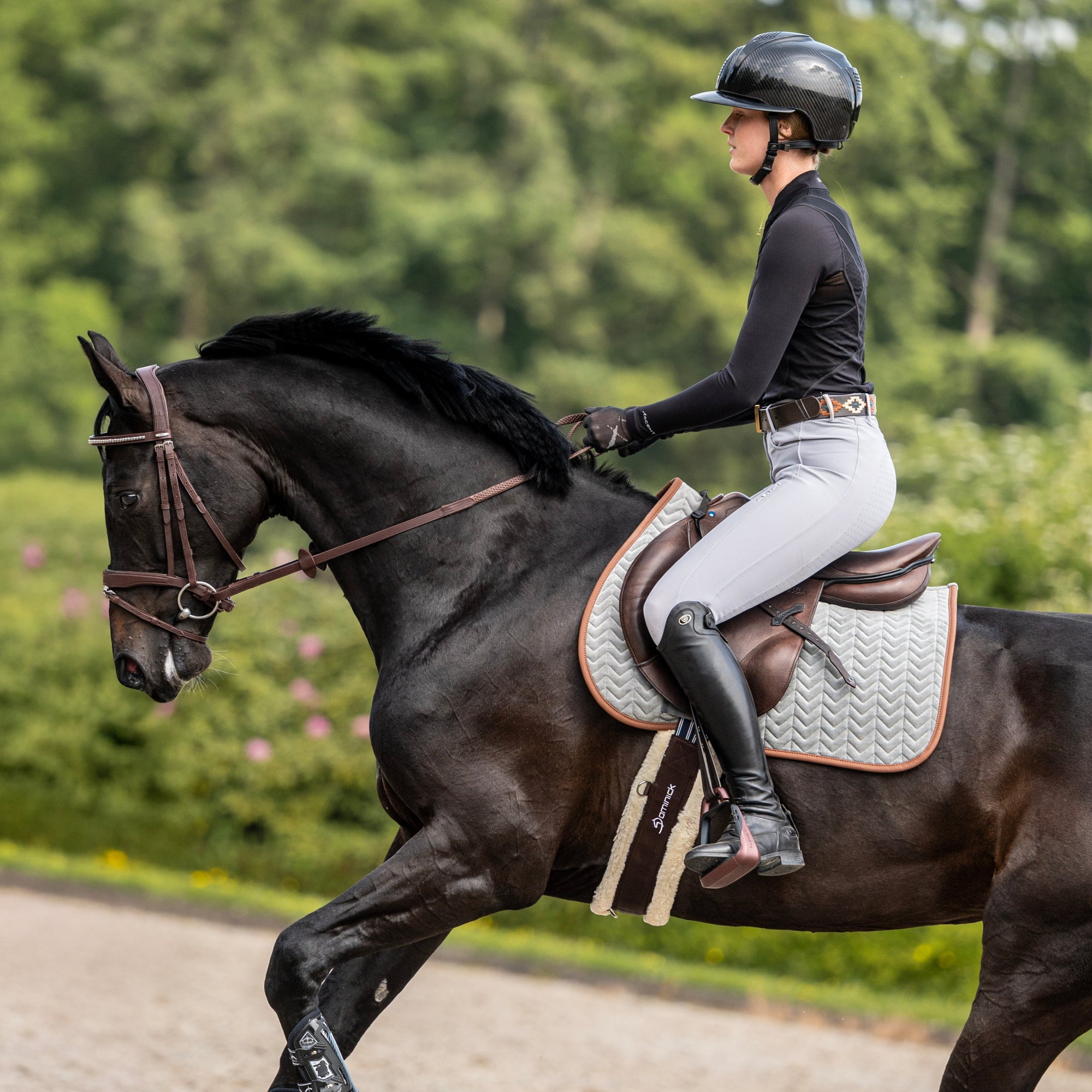 Dominick Saddle Pad Jumping