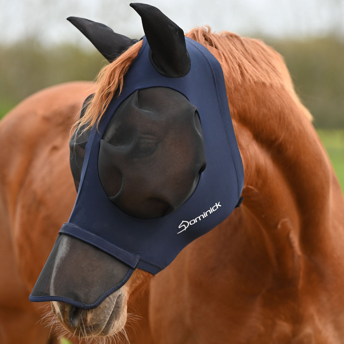 Dominick Fly Mask Comfort Fit + Nose Flap