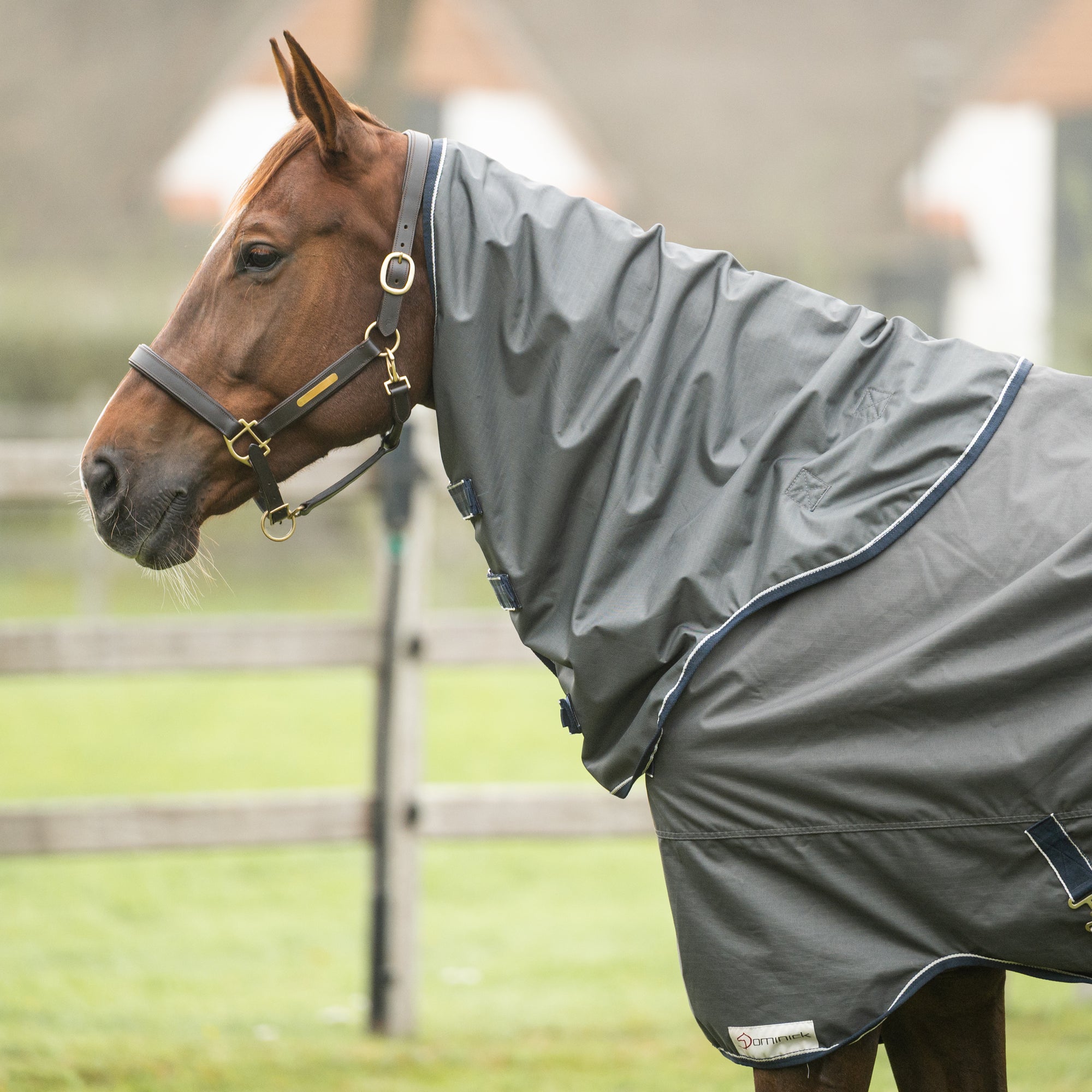 Dominick Hood 600D 150g