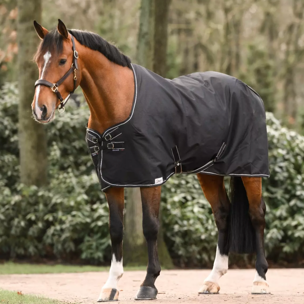 Dominick Stable Rug Lite