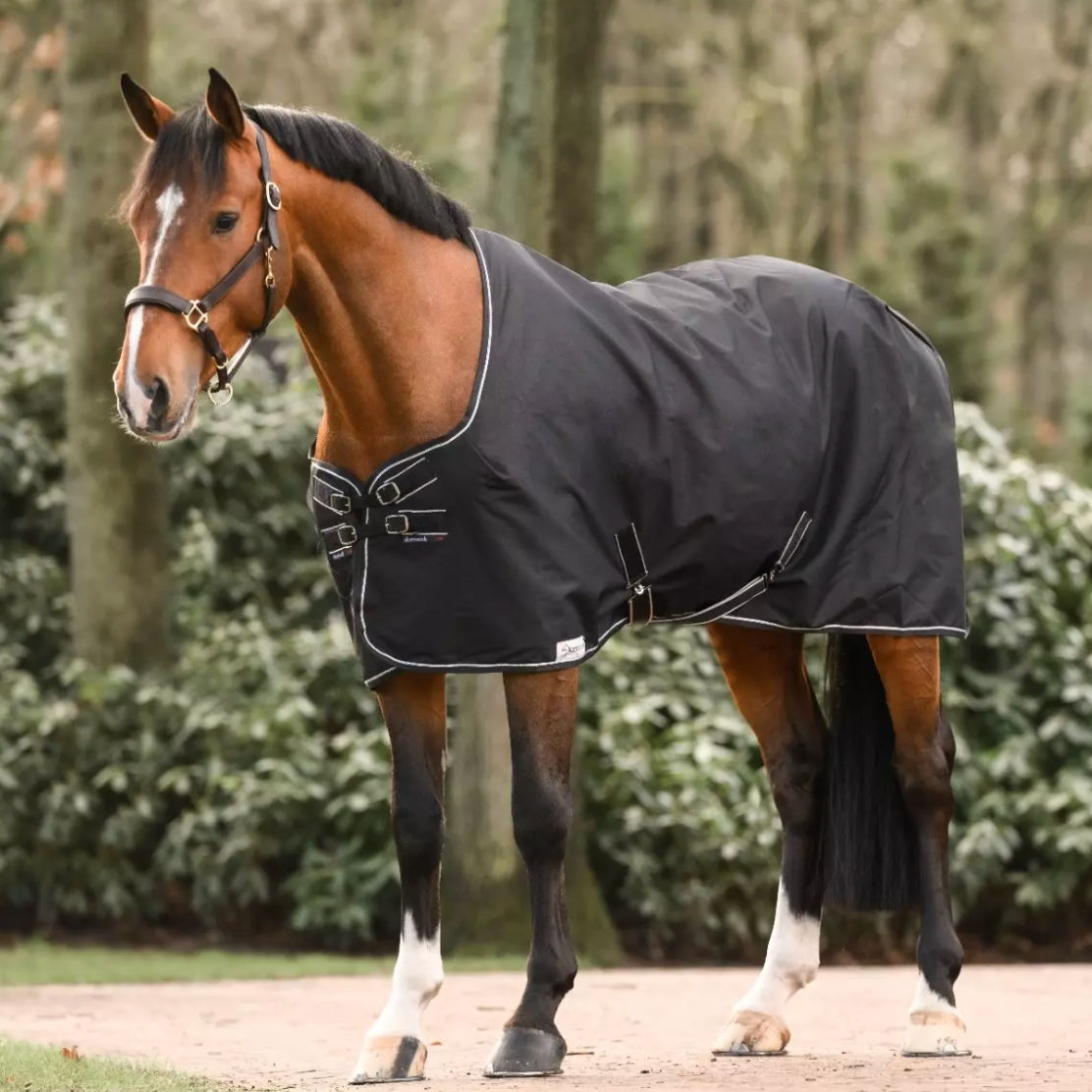 Dominick Stable Rug Lite