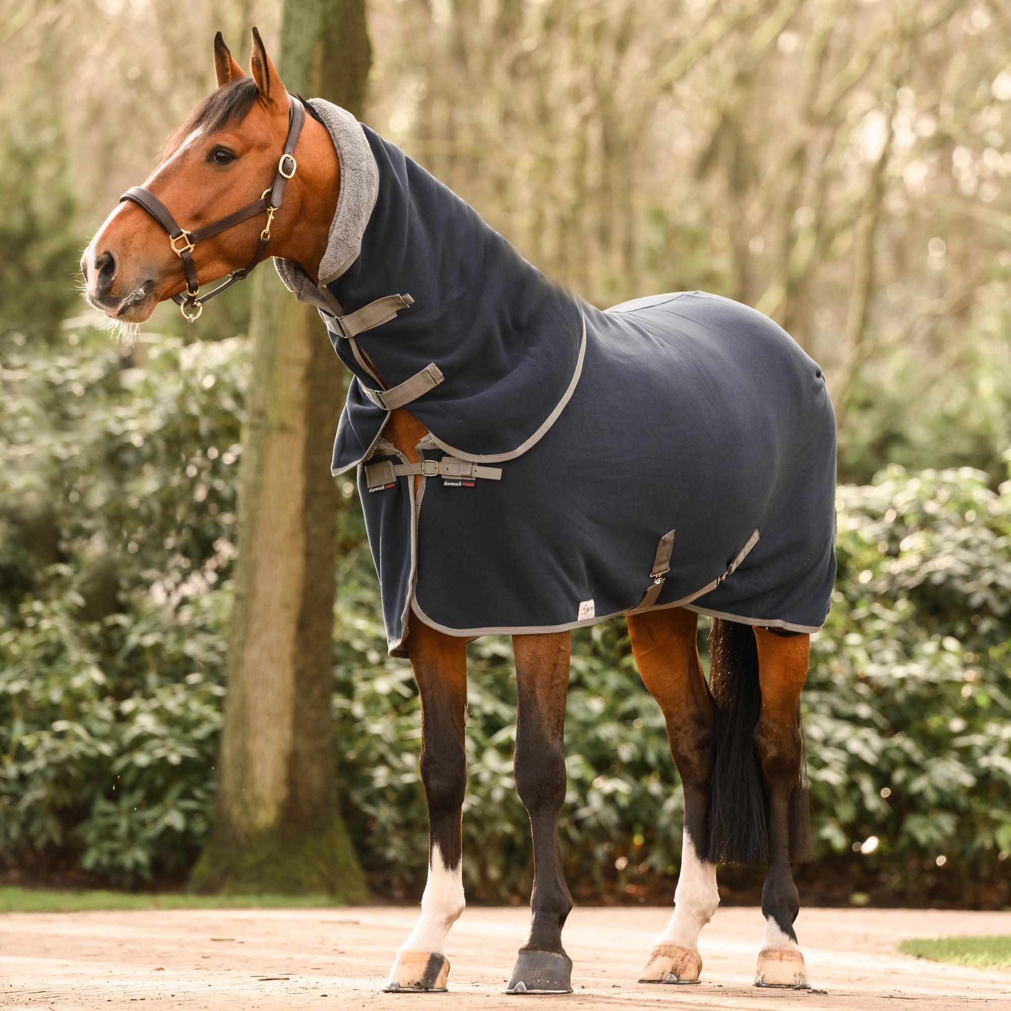 Dominick Cosy Fleece Rug