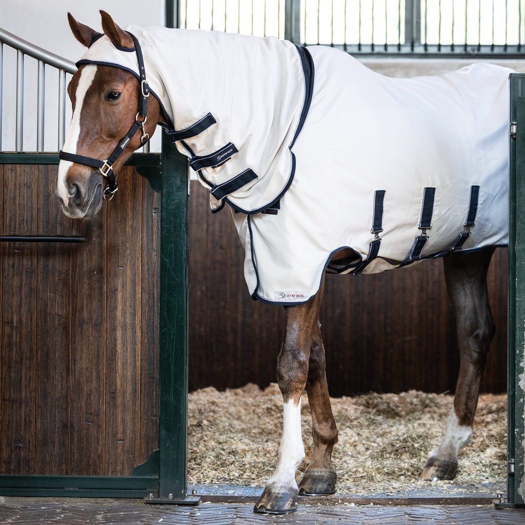 Dominick Sweet Itch Rug Elastic