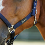 Dominick Headcollar