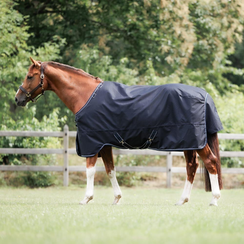 Dominick Outdoor Turnout Rug 0g