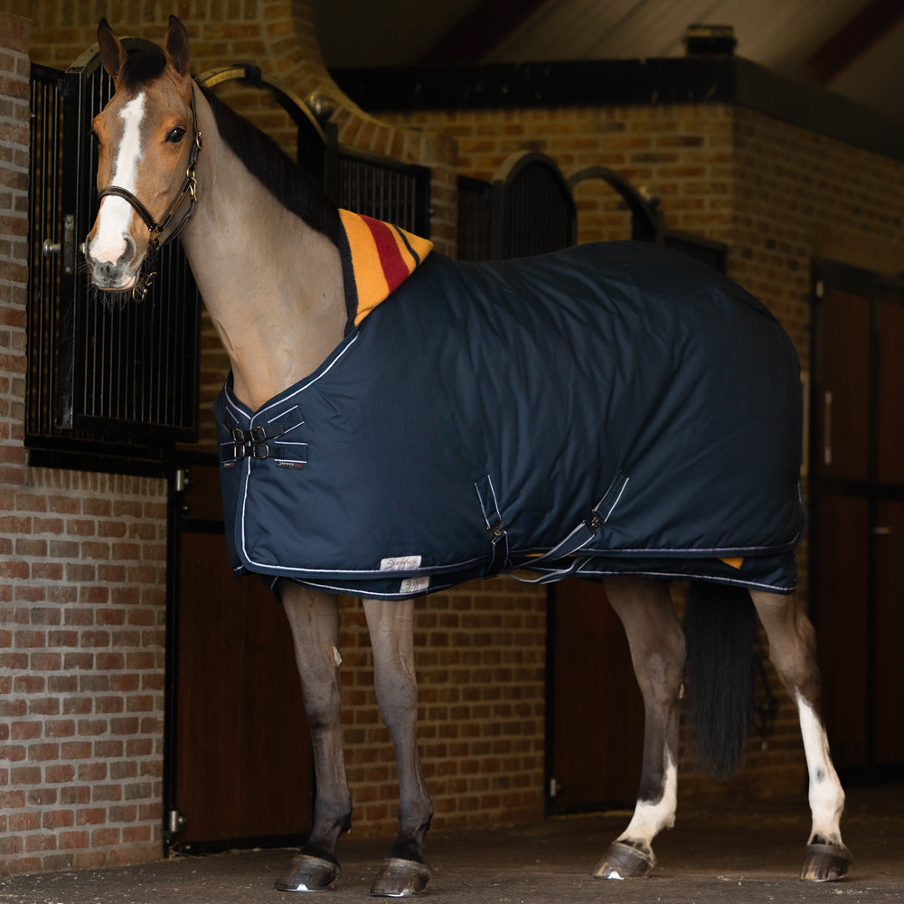 Dominick Stable Rug Medium 200g