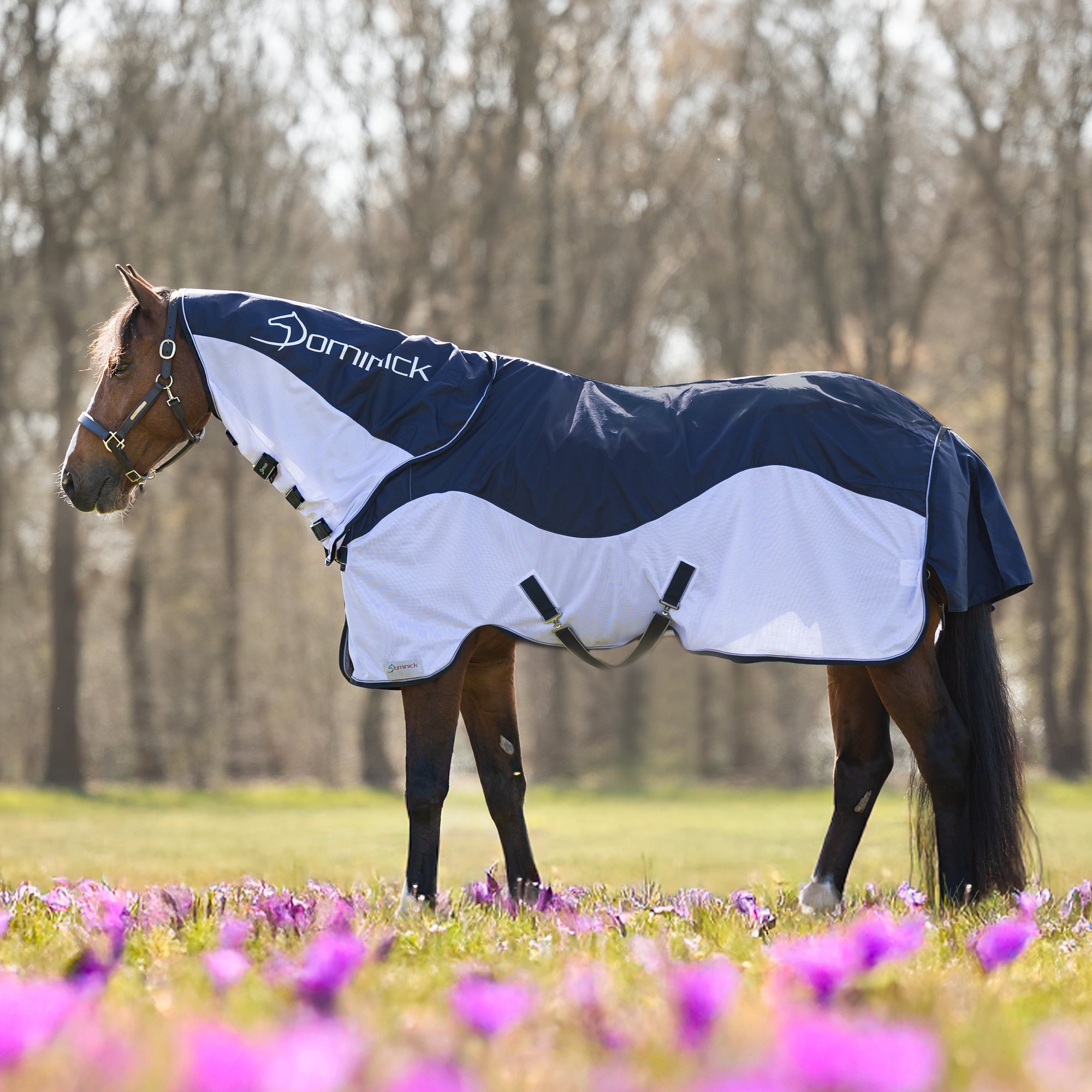 Dominick Fly Rug Waterproof Summer Vibes
