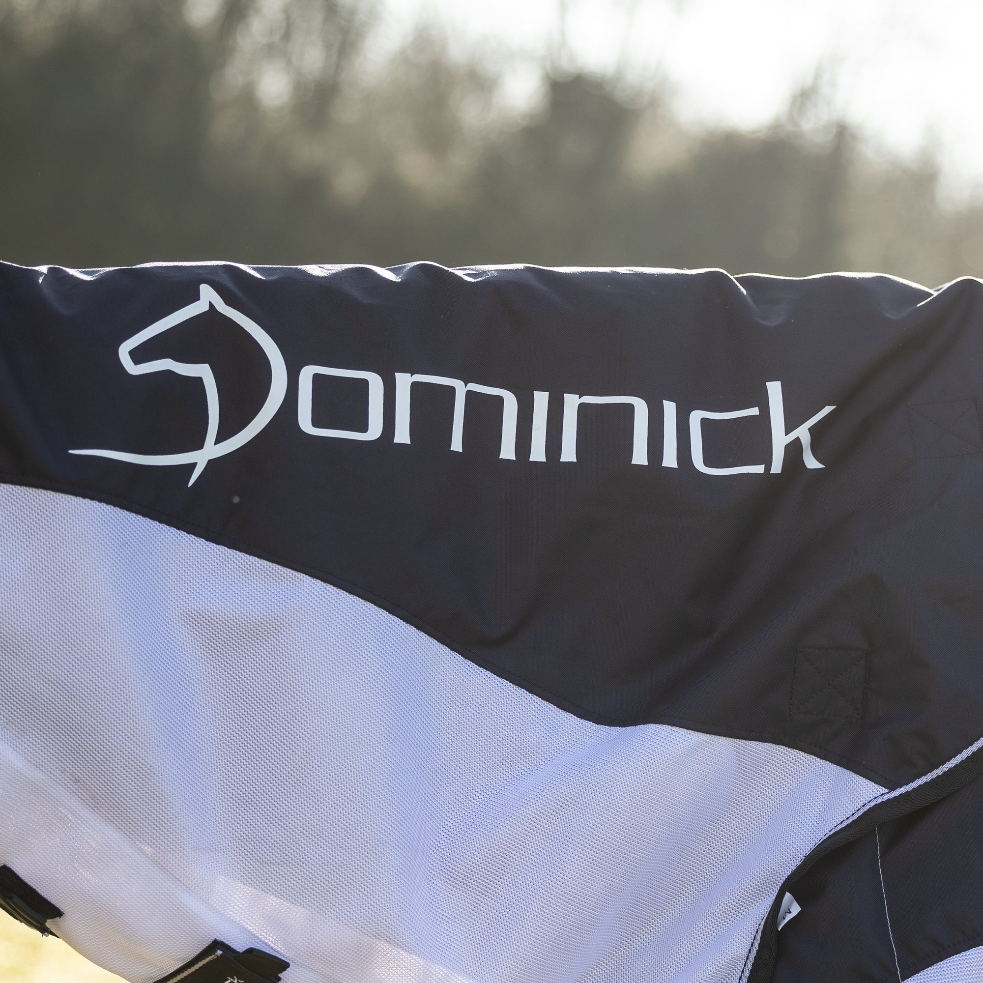 Dominick Fly Rug Waterproof Summer Vibes