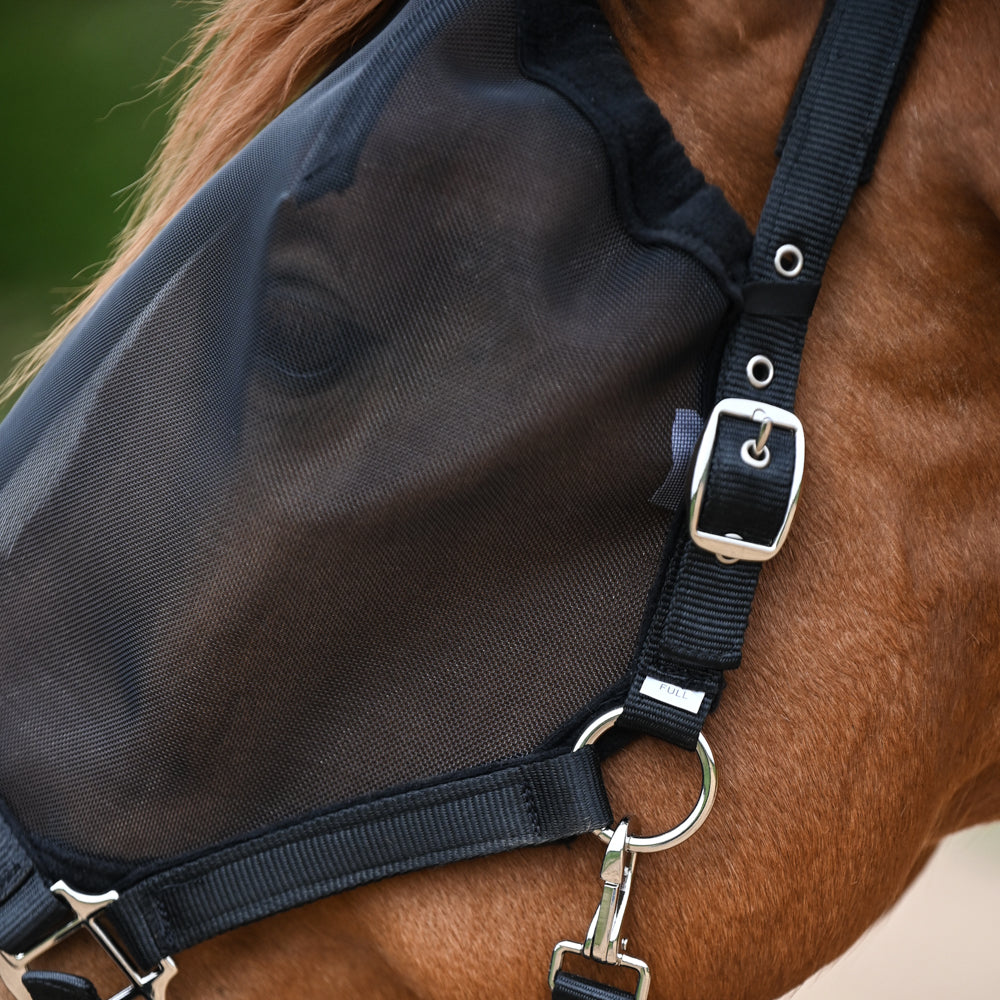 Dominick Headcollar + Fly Mask