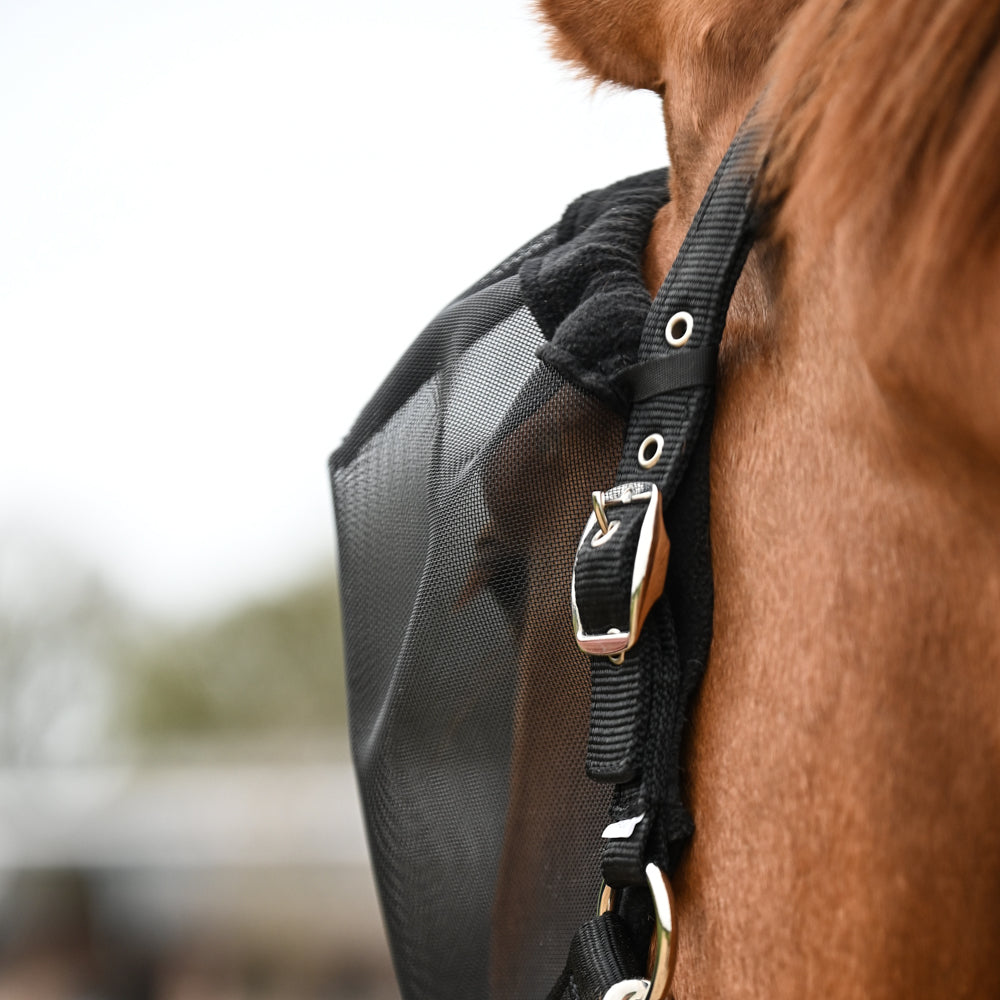 Dominick Headcollar + Fly Mask