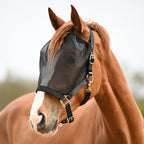Dominick Headcollar + Fly Mask