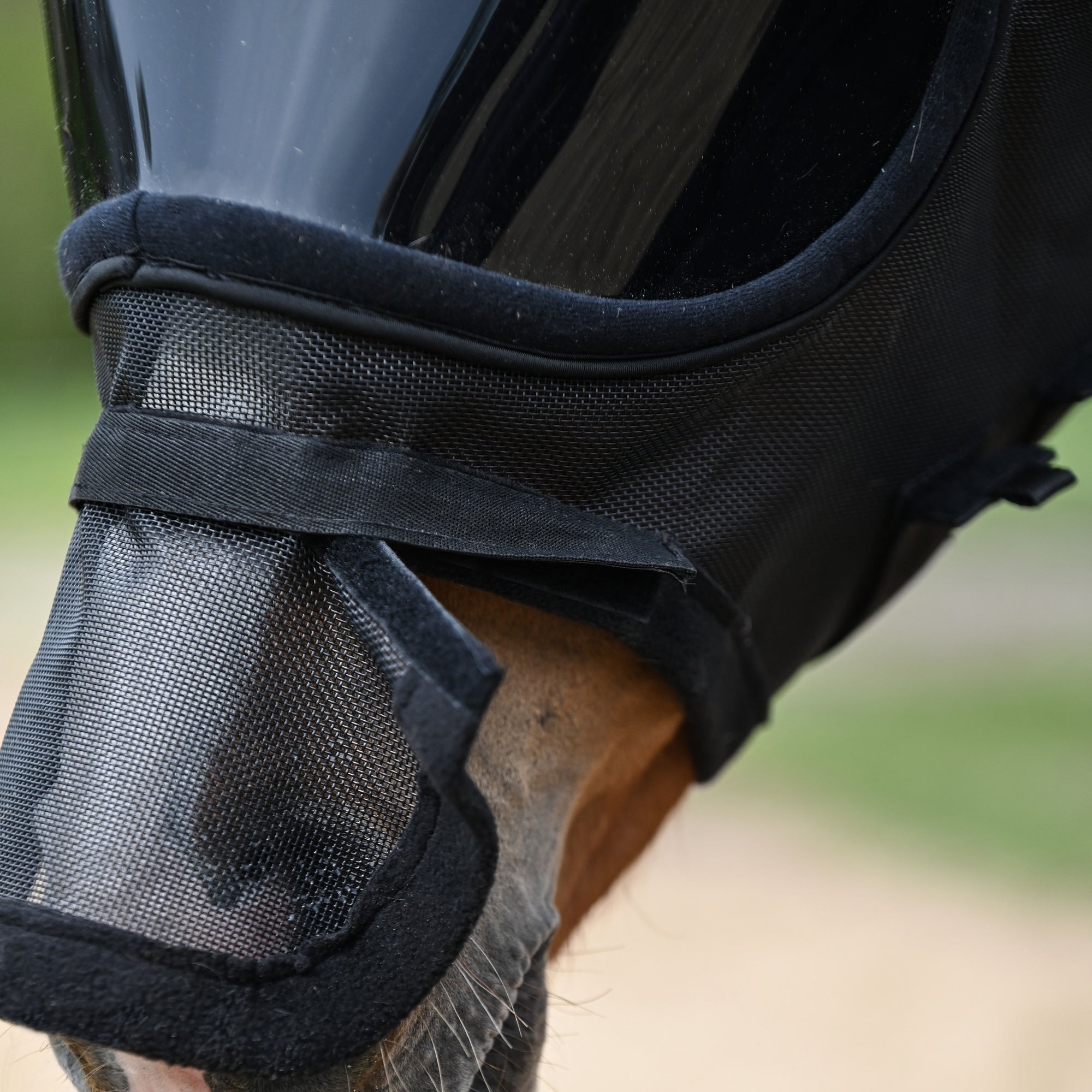 Dominick Fly Mask UV-Defender