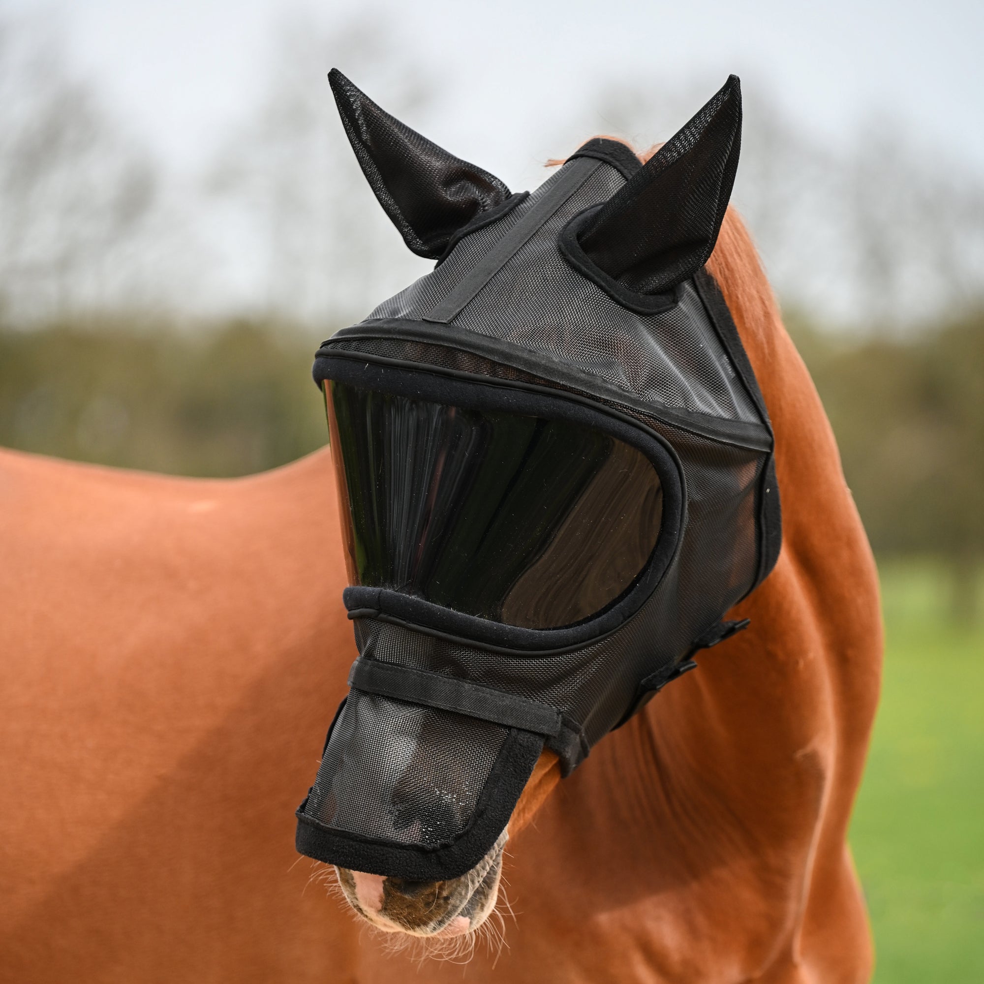 Dominick Fly Mask UV-Defender