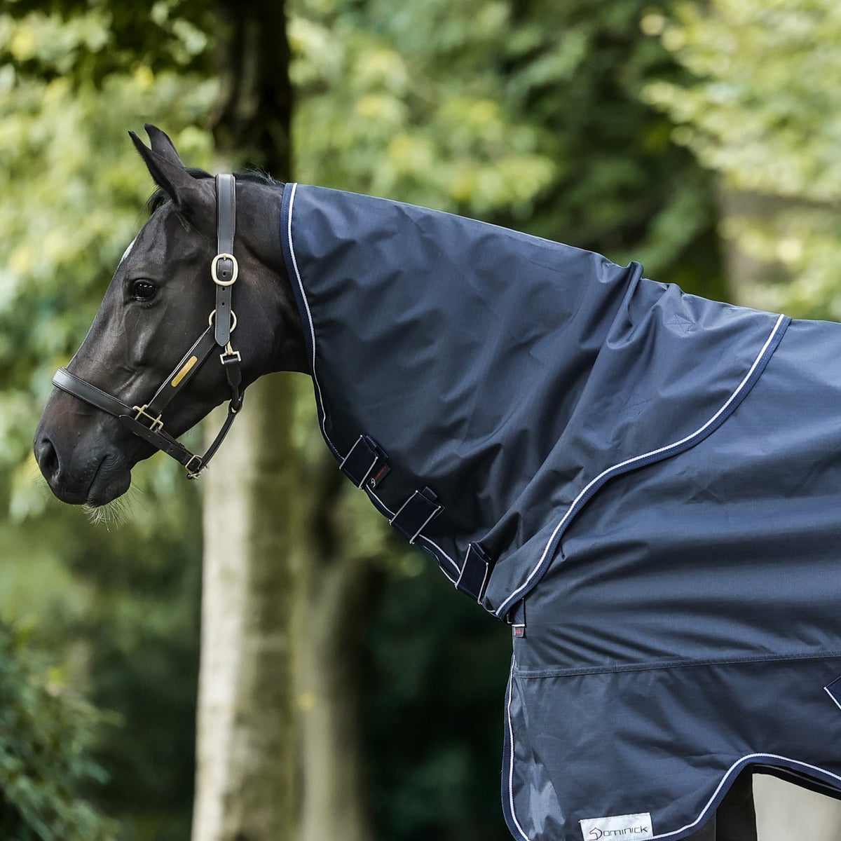 Dominick Outdoor Halsdeel 600 D 0 g Navy