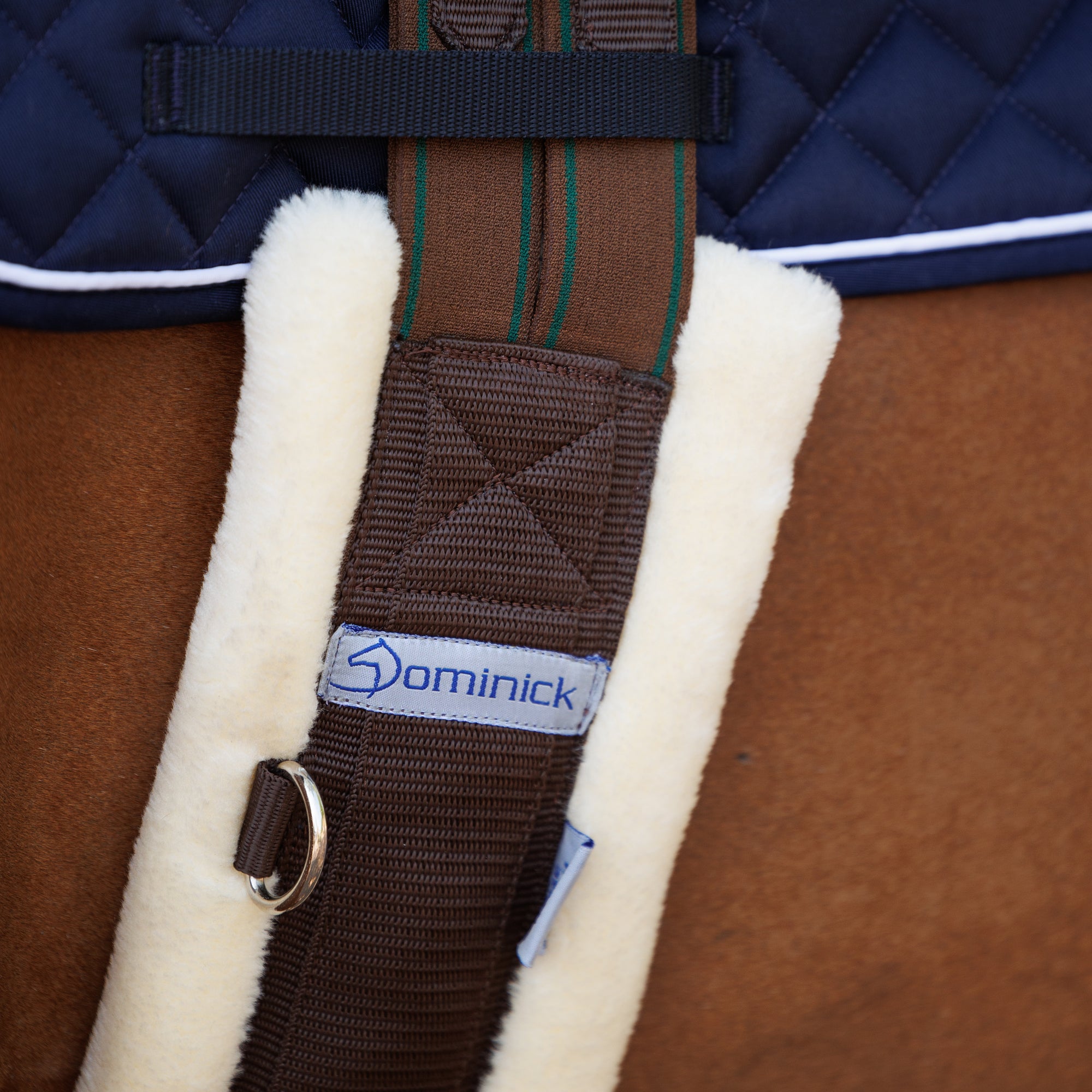 Dominick Surcingle Fleece
