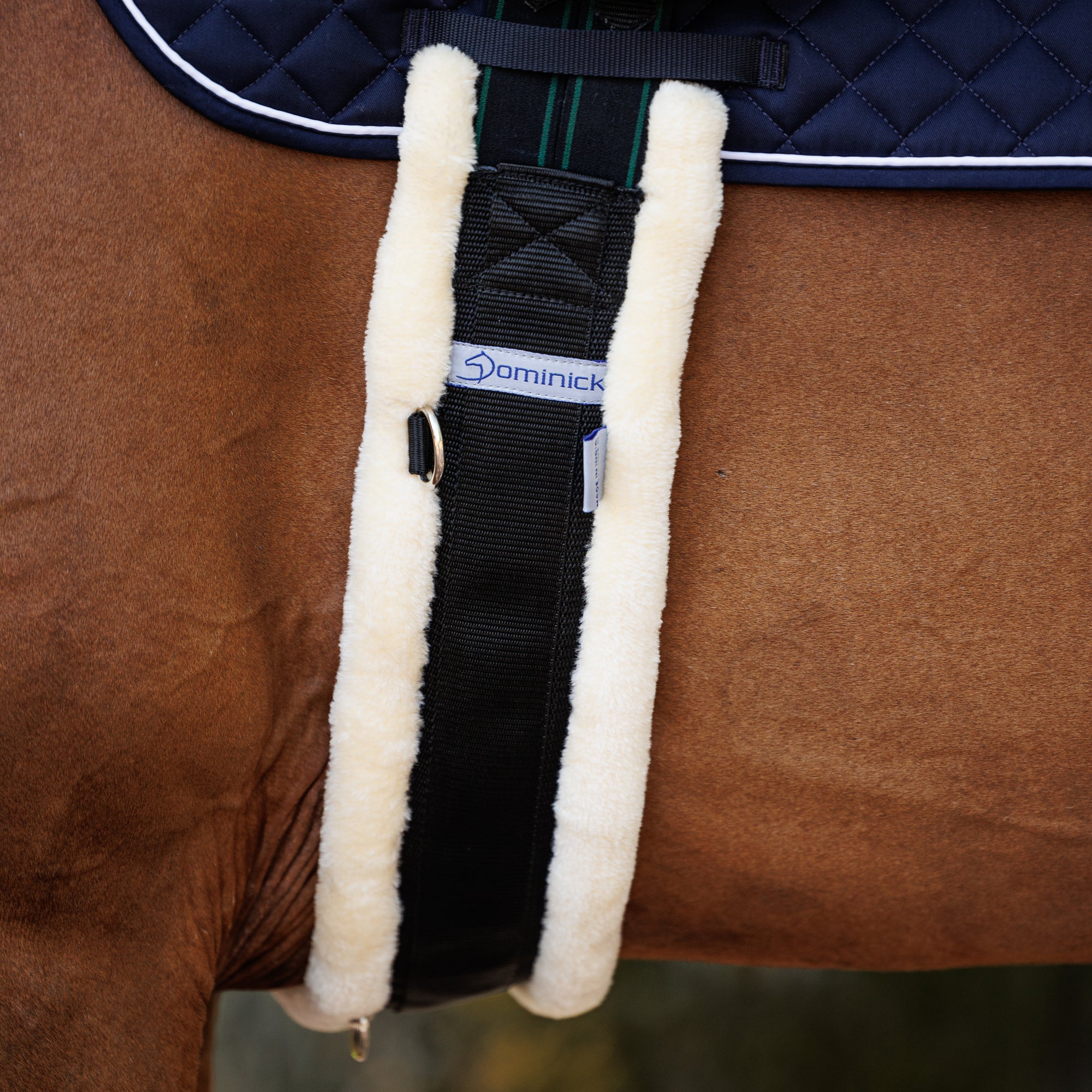 Dominick Surcingle Fleece