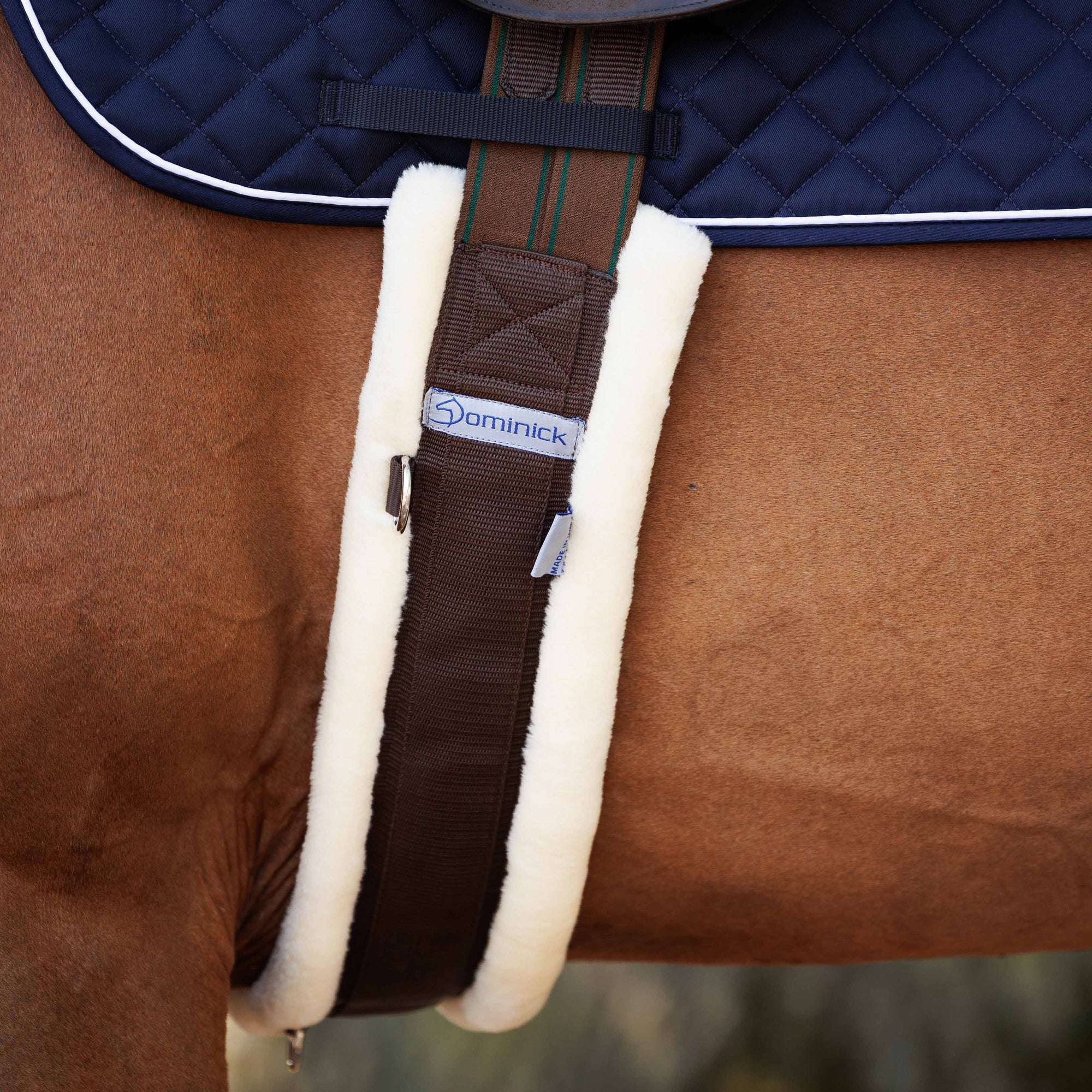 Dominick Surcingle Fleece